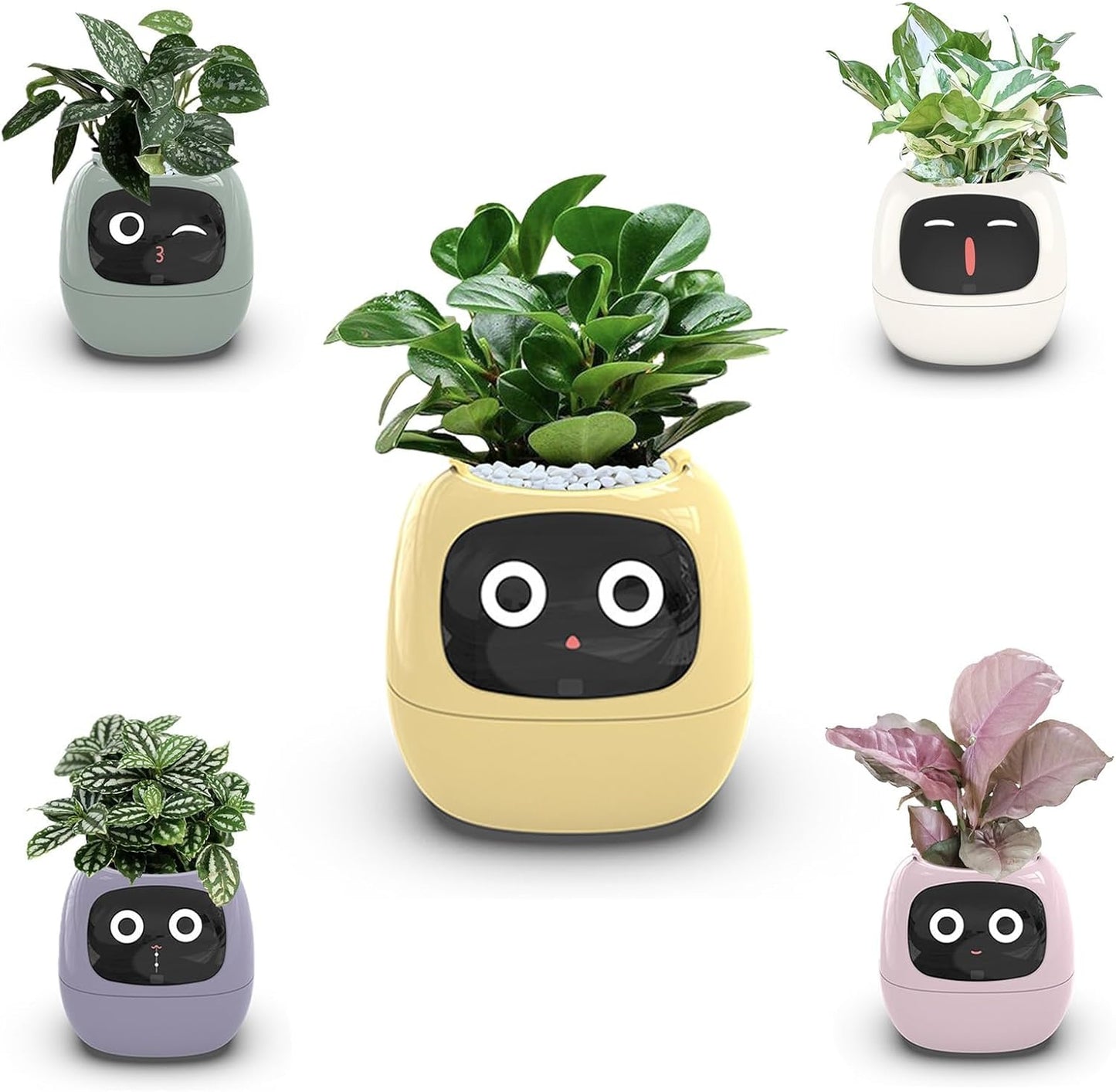 HOMESCAPE™ - AI Smart Planter