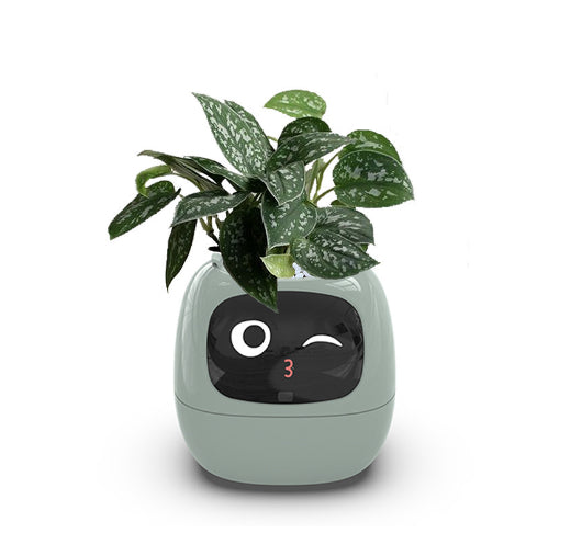 HOMESCAPE™ - AI Smart Planter