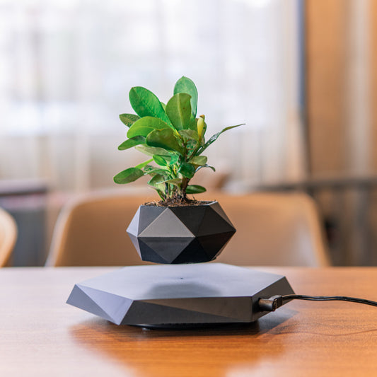 HOMESCAPE™ - Levitating Magnetic Planter